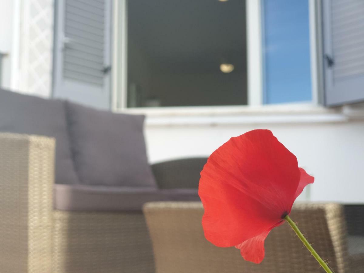 Medusa Guest house